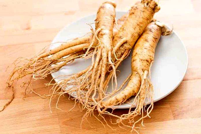 GINSENG testicular atrophy