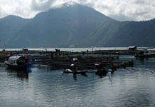 danau batur