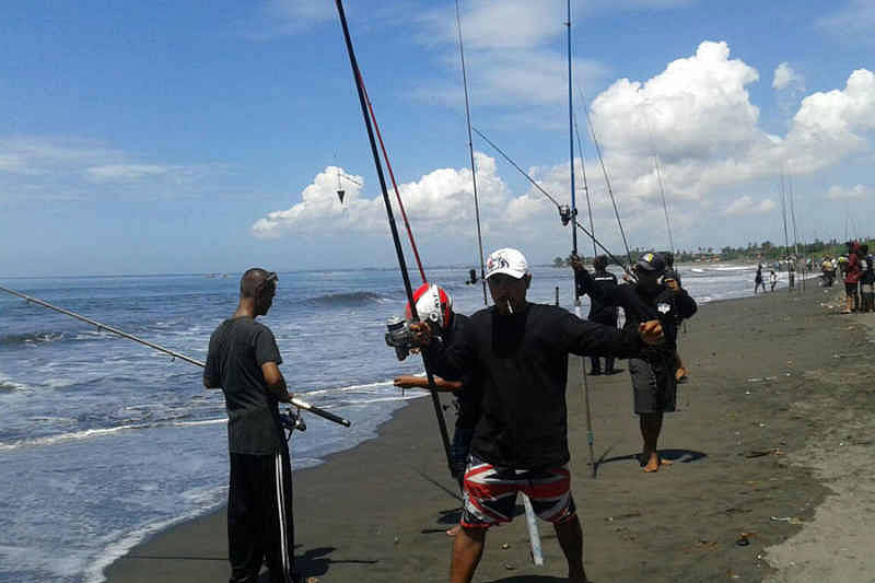 Potensi Pantai Purnama Diperkenalkan lewat Lomba Mancing
