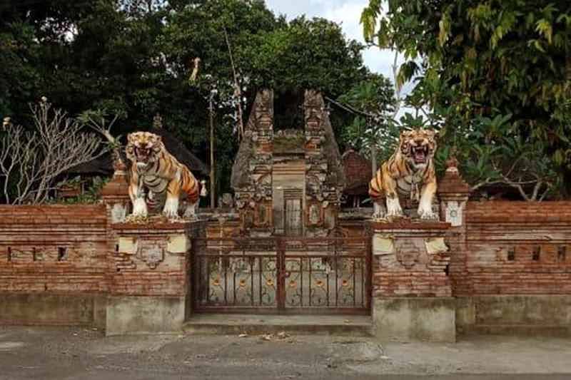 Banjar Tag Tag Warganya Pantang Makan Daging Sapi 1 Balipost Com<script async src=