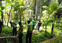 Melintas, Warga Tewas Tertimpa Pohon Cengkeh