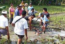 Warga Sinjuana Ditemukan Tewas di Sawah