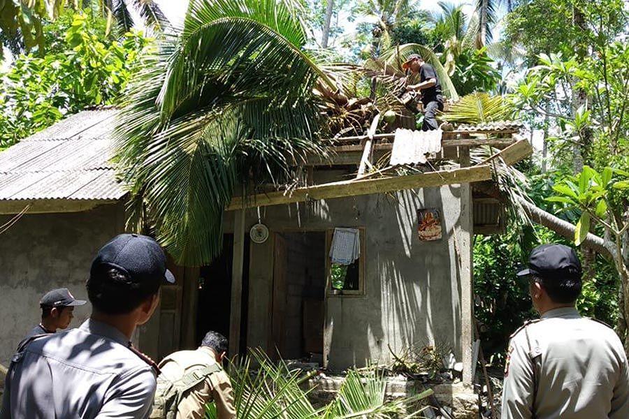  Pohon  Kelapa Tumbang  Hancurkan Rumah BALIPOST com