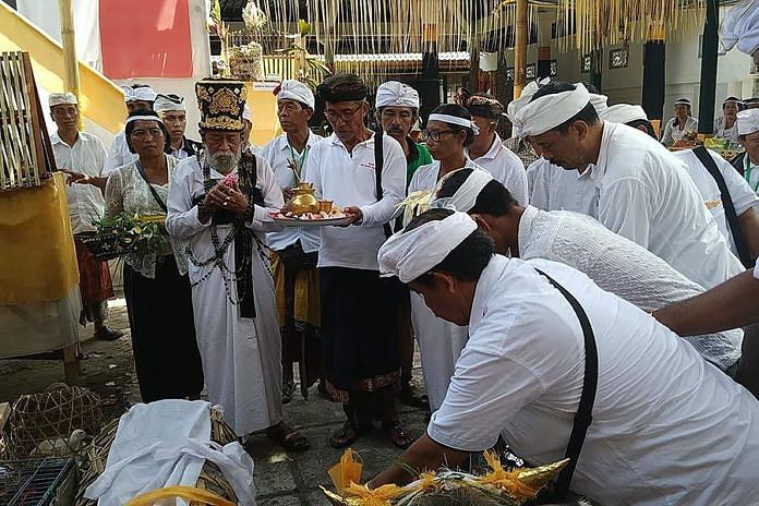 Sucikan Hewan Tawur Melalui Upacara Mapepada 1