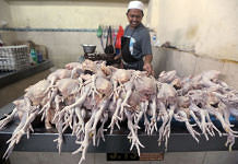 Berada di Titik Terendah, Harga Daging Ayam di Tingkat Peternak