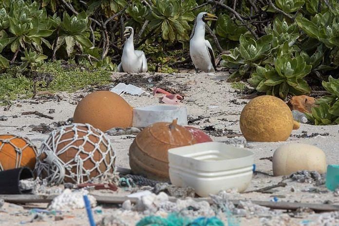 Plastic junk spawns desert island disaster in Pacific 1