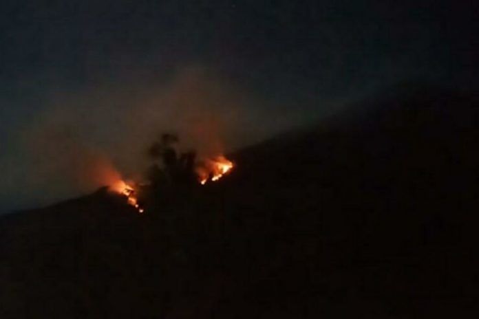 Lagi, Hutan di Lereng Gunung Agung Terbakar 1