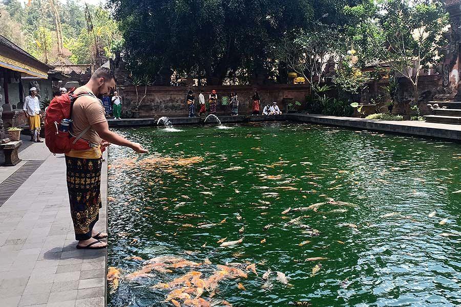Kolam Ikan di Pura Tirta Empul, Dulunya Kolam Latihan Tentara