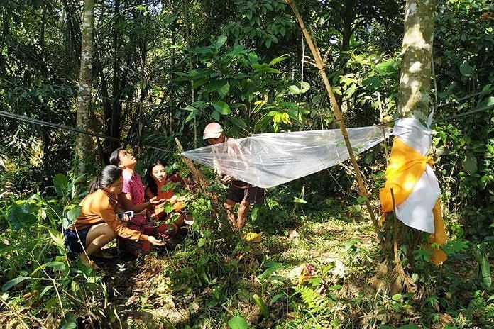 Pohon Rambutan Keluarkan Air Berbau Harum, Warga Berdatangan Mohon Berkah 1