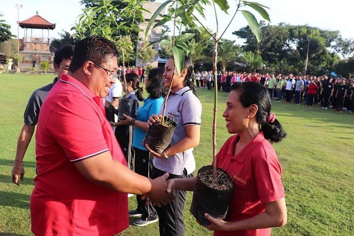 Terancam Punah, Diuji Coba Bibit Mangga Amplem Sari 1