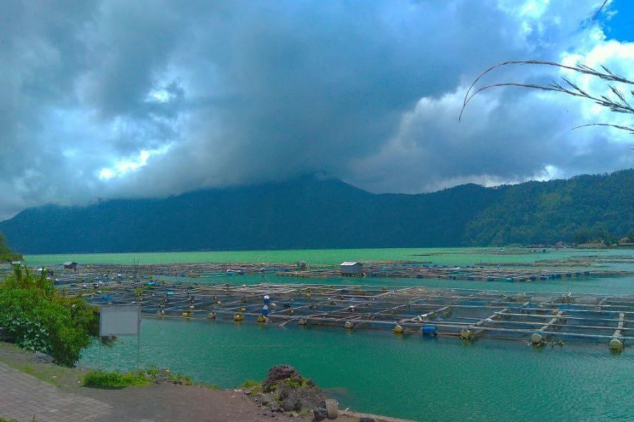 Air Danau  Batur Berubah Warna Pembudidaya Ikan Ketar 