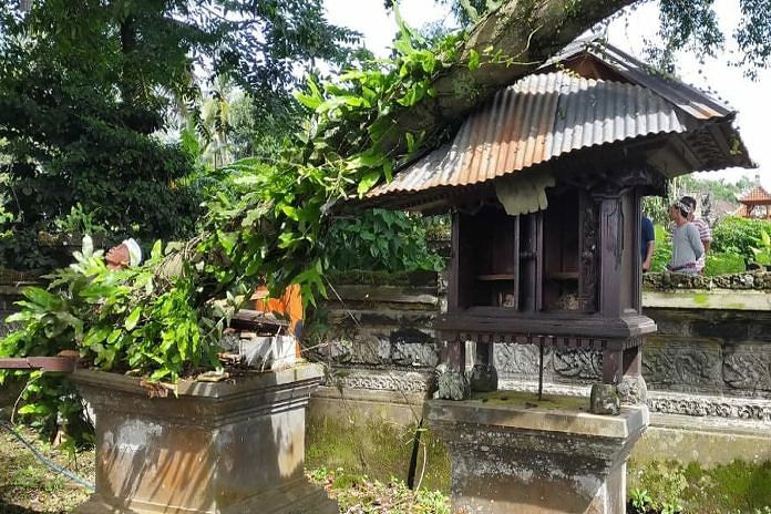 Kabel PLN dan 4 Pelinggih Rusak Ditimpa Berigin 1