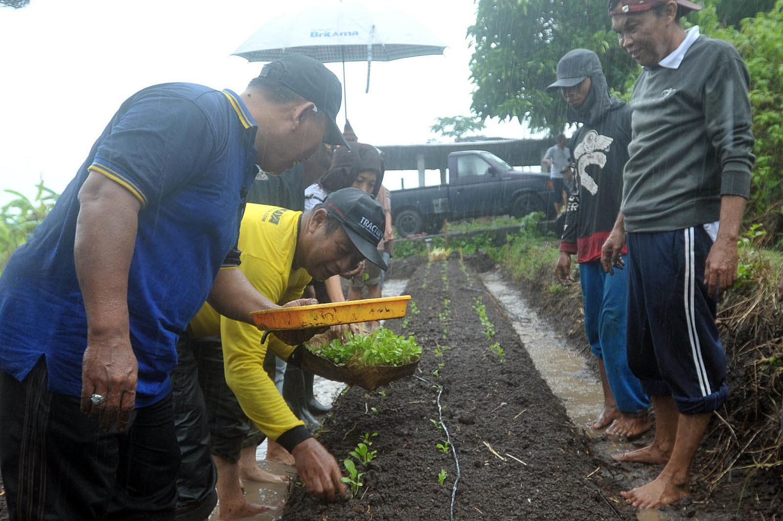 Biodinamik Sistem Pertanian Organik Plus Balipost Com