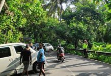 Hendak ke Tulamben, Mobil Dikendarai WNA Terperosok di Kebun Warga