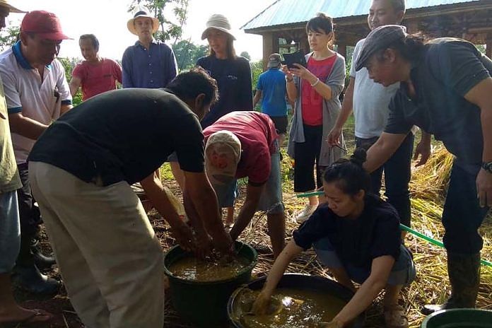 Pegiat Biodynamic