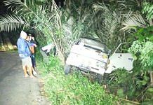 Pick Up Terperosok, 1 Penumpang Tewas Terpental