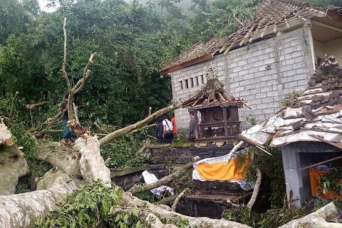 Pohon Beringin Timpa Puluhan Palinggih di Pura Penataran Sega 1