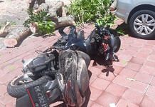 Pohon Besar di Renon Tumbang, Dua Orang Luka-luka