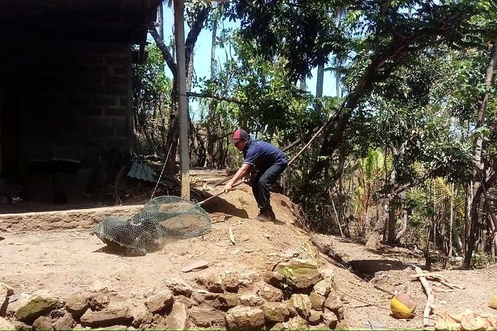 Jumlah Gigitan Anjing Rabies Di Karangasem Capai 28 Kasus 1