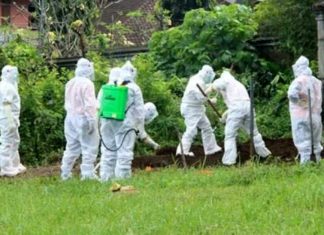 Pertama di 2022, Tambahan Korban Jiwa COVID-19 Dilaporkan Bali