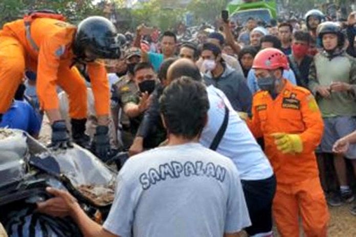 Tertimpa Pohon, Pengemudi Minibus Tewas 1