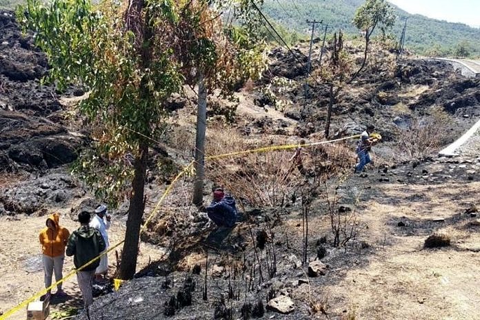 Kebakaran Kembali Landa Kawasan Hutan Kintamani, Lokasinya Bergeser 1