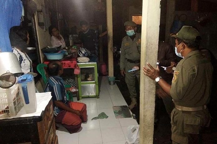Puluhan Duktang Diamankan Tim Gabungan Di Gianyar 1