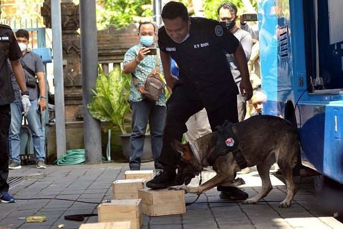 Lacak Narkoba Dibantu Baru Dan Tara 1