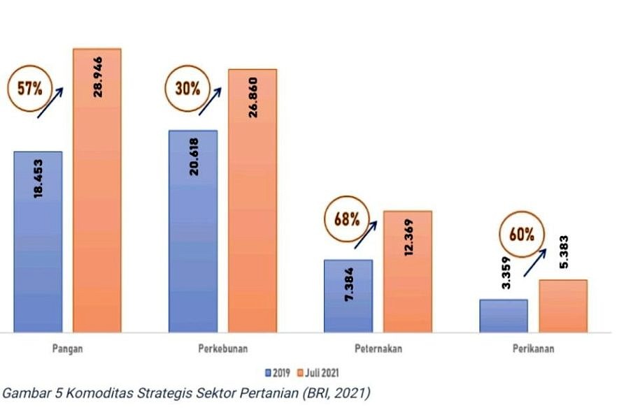 Selama Pandemi, Rp 161 Triliun Kredit Mikro BRI Tersalurkan ke Pertanian 5