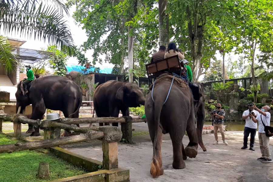 kububakas