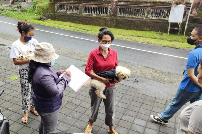 Tekan Ancaman Rabies, Distan Gianyar Gencarkan Vaksinasi 1