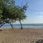 Mau Liburan Nataru? Pantau Terus Perkembangan Regulasi