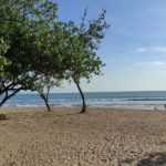 Mau Liburan Nataru? Pantau Terus Perkembangan Regulasi