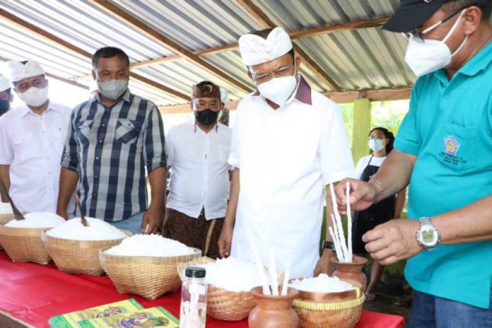 Tak Jual Garam Tradisional Lokal Bali, Gubernur Koster Minta Pemkab Cabut Ijin Pasar Modern 1