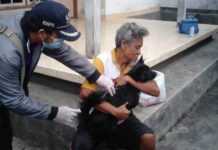 Anjing Diduga Rabies Gigit Tujuh Warga di Tegalcangkring