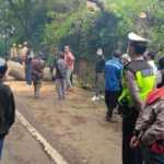 Pohon Tumbang Melintang di Jalan, Jalur Bangli-Singaraja Sempat Lumpuh