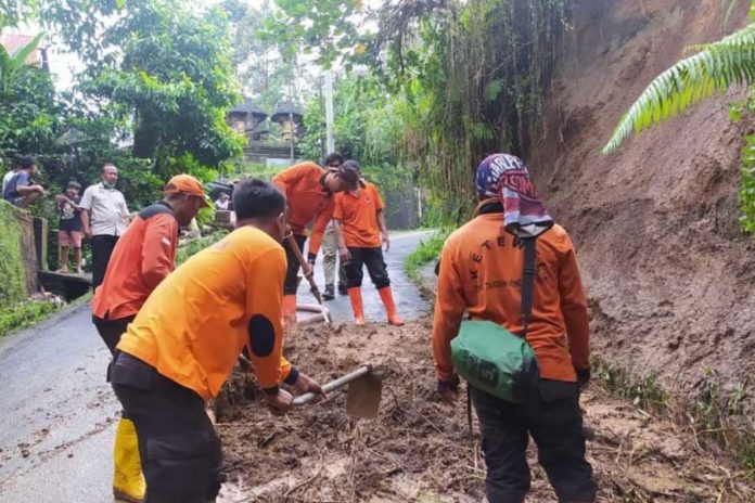 Hujan Deras, Pohon Tumbang Dan Longsor Terjadi Di Gianyar 1