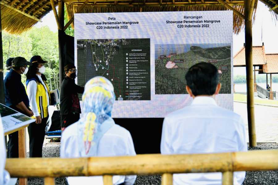 Jadi "Showcase" Di KTT G20 2022, Hutan Mangrove Bali Bersolek 4 ...