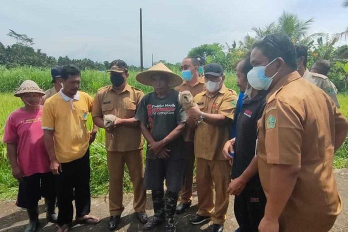 Desa Adat Kekeran Jaga Potensi Pertanian 1