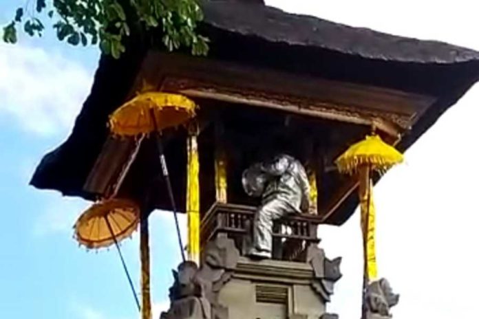 Tangani Koloni Tawon, Petugas Gunakan Pakaian Khusus 1