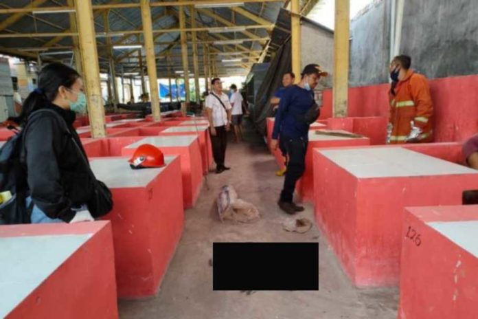 Gigit Warga, Damkar Eliminasi Anjing Liar 2