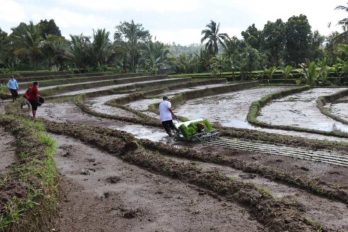 Belasan Desa Wisata Di Tabanan Kurang Aktif 1