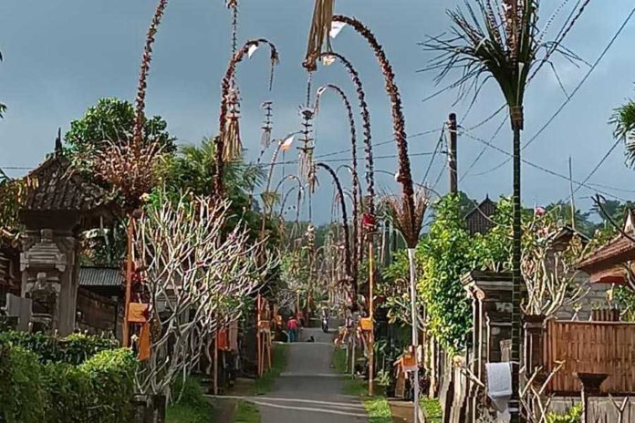 Desa Adat Kayubihi Imbau Warga Manfaatkan Bahan Lokal 1