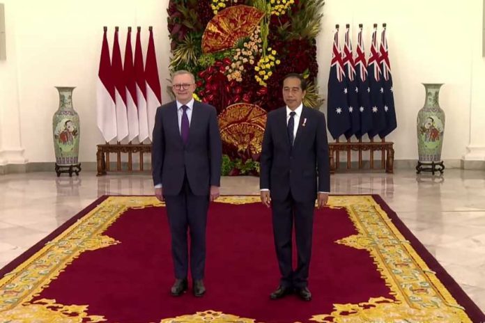 PM Australia Kunjungi Indonesia, Jokowi Ajak Tanam Pohon Hingga Naik Sepeda Bambu 1