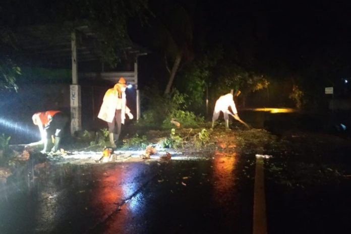 Tabrak Pohon Melintang Di Jalan, Pemotor Luka Luka 1