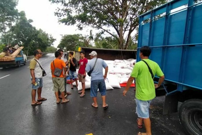 Truk Bermuatan Pakan Terguling Di Tanjakan Sumbersari 1