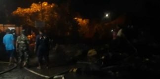 Pohon Beringin Berusia Ratusan Tahun di Setra Sumerta Terbakar