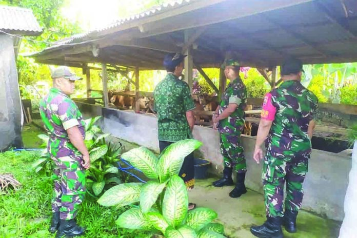 Tabanan Bentuk Satgas Penanganan PMK 1