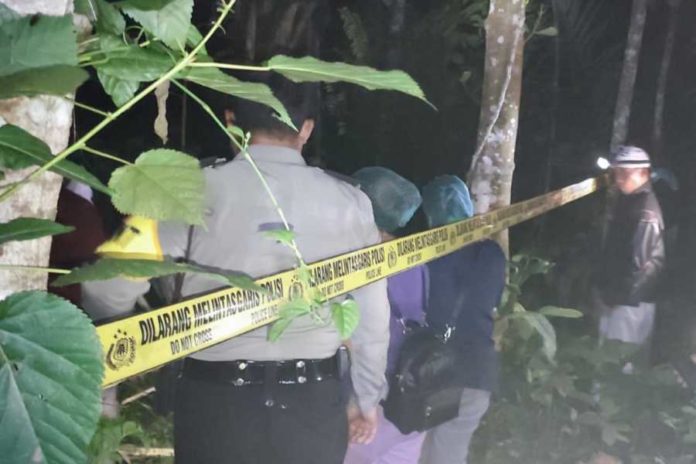 Jatuh Dari Pohon, Wanita Asal Bhuana Giri Tewas 1