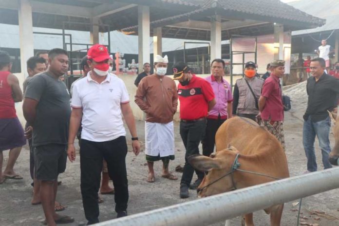 Pantau Pasar Hewan Rubaya, Bupati Gede Dana Minta Medik Veteriner Ditugaskan Setiap Pasaran 1